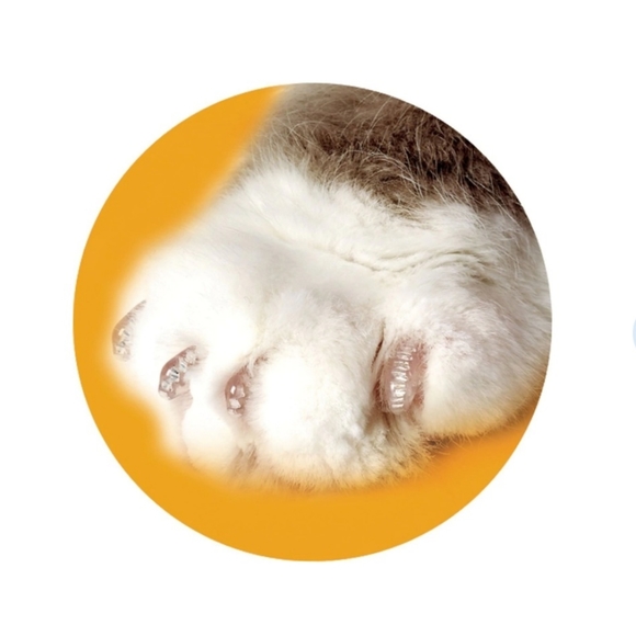 Soft Claws nail caps for cats - Picture 3 of 3